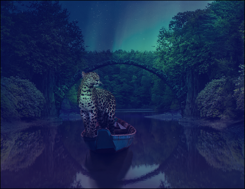 Léopard, par Galad-El
