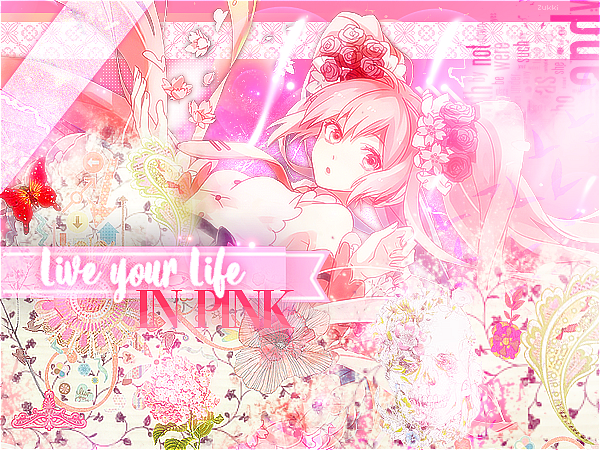 Live your Life in Pink !, par Zukki