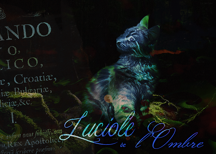 Luciole de l'Ombre, par Milou