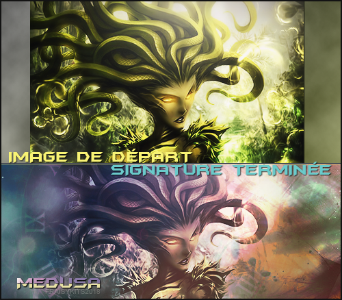 Preview Medusa, par Fraisy Sarcasm