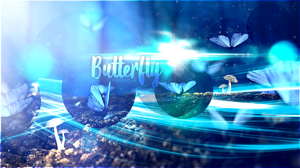 Butterfly Paradise, par Zukki