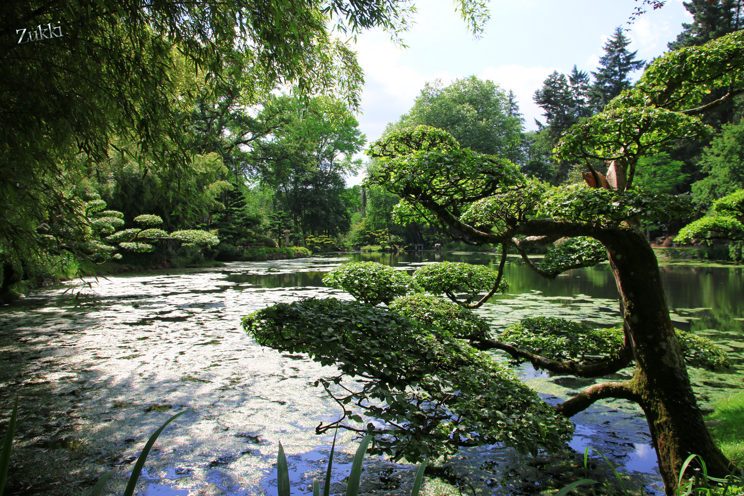 Maulévrier, par Zukki