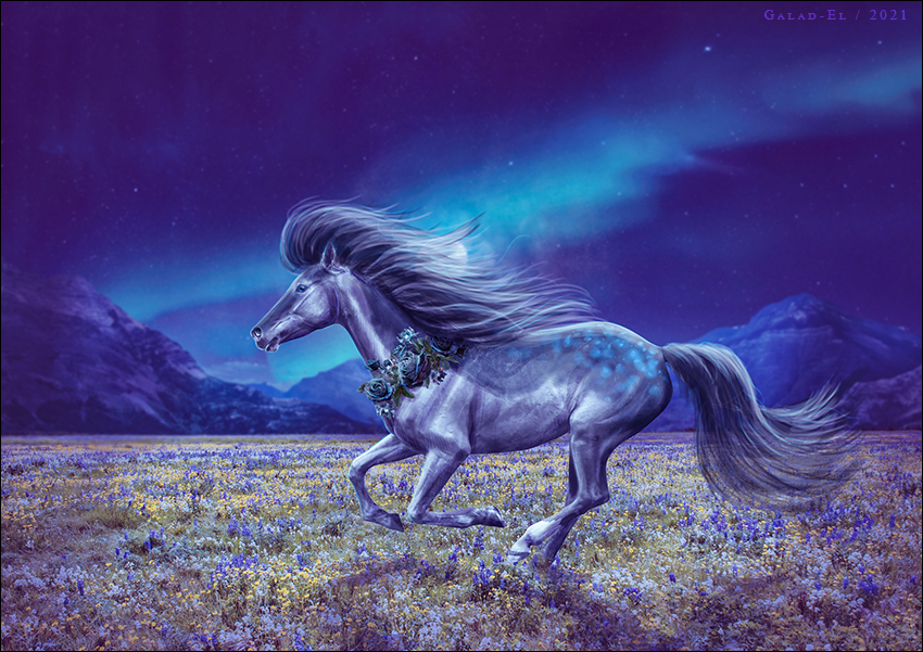 Pervenche, par Galad-El