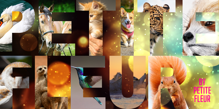 Mon Pseudo En Image, par Petite Fleur