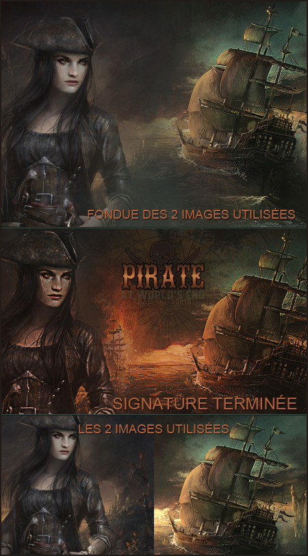 Preview Pirate at world end, par Fraisy Sarcasm