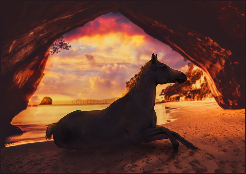 Cheval, par Galad-El