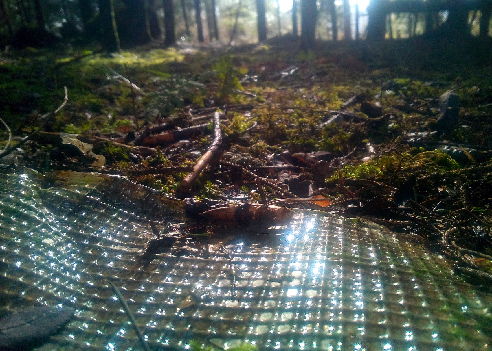 Pollution, par Aadelrun