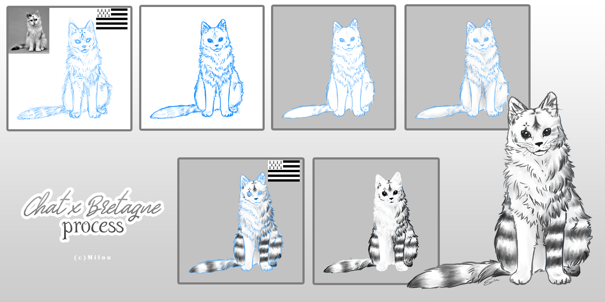 [Step by step] chat breton, par Milou