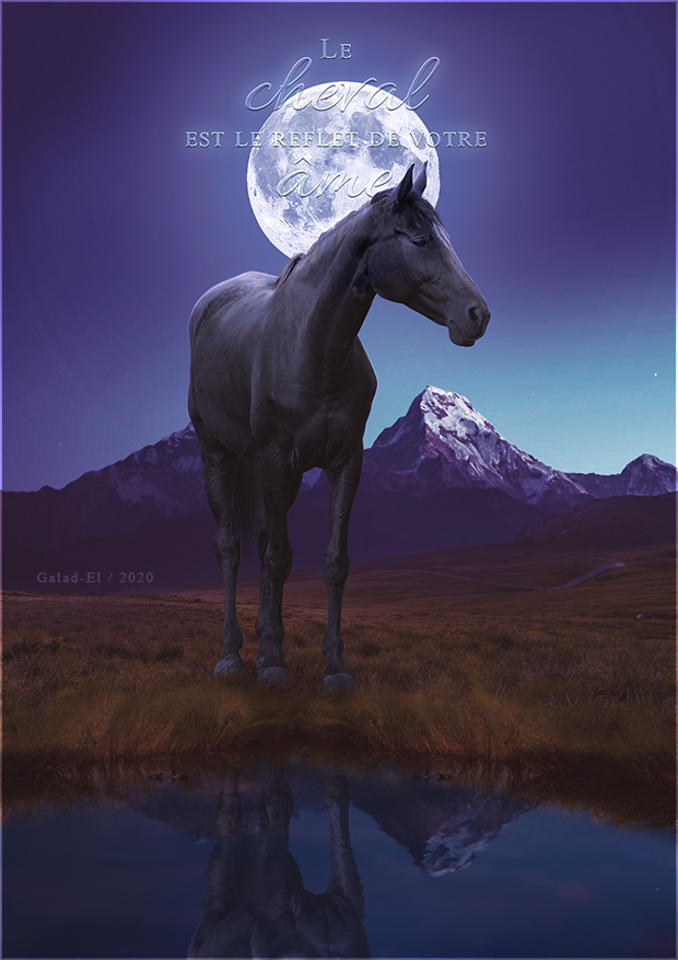 Reflet, par Galad-El