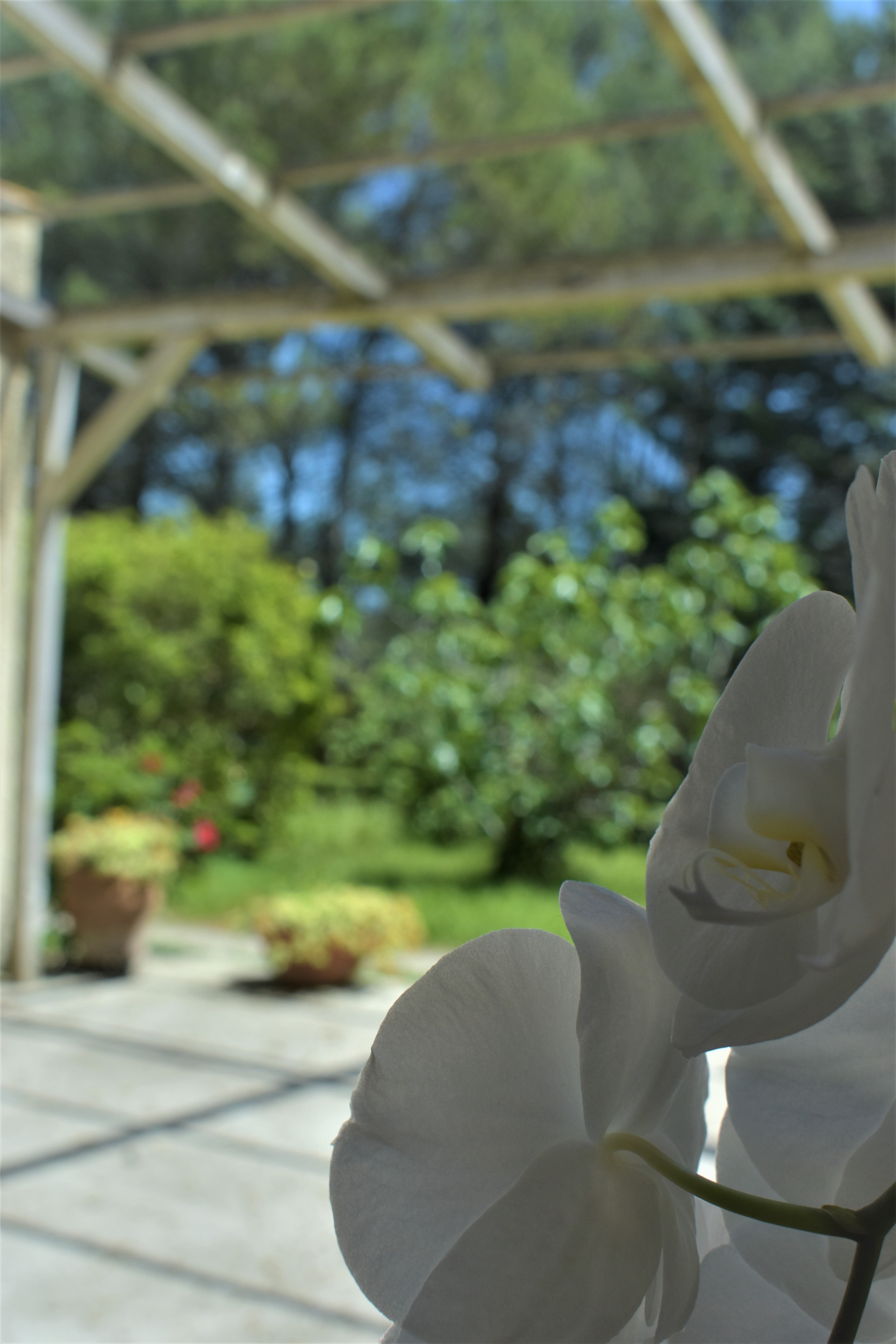 La vue de dedans, par Ollash