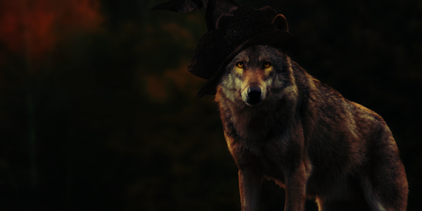 Oracle, par Aadelrun