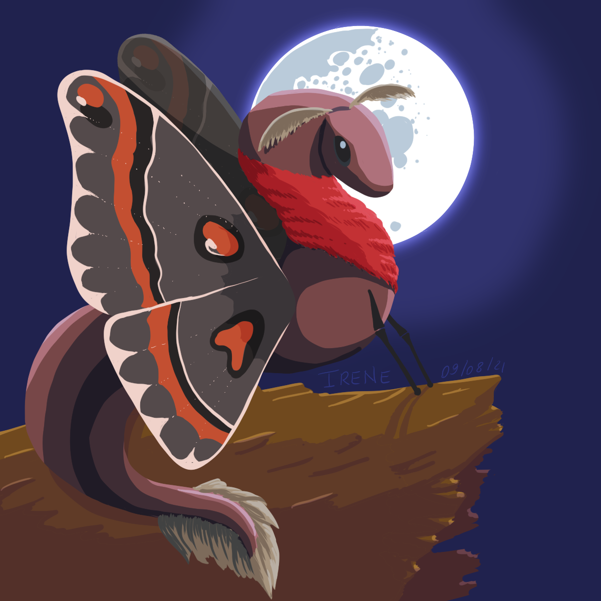 Moth Dragon, par Galad-El