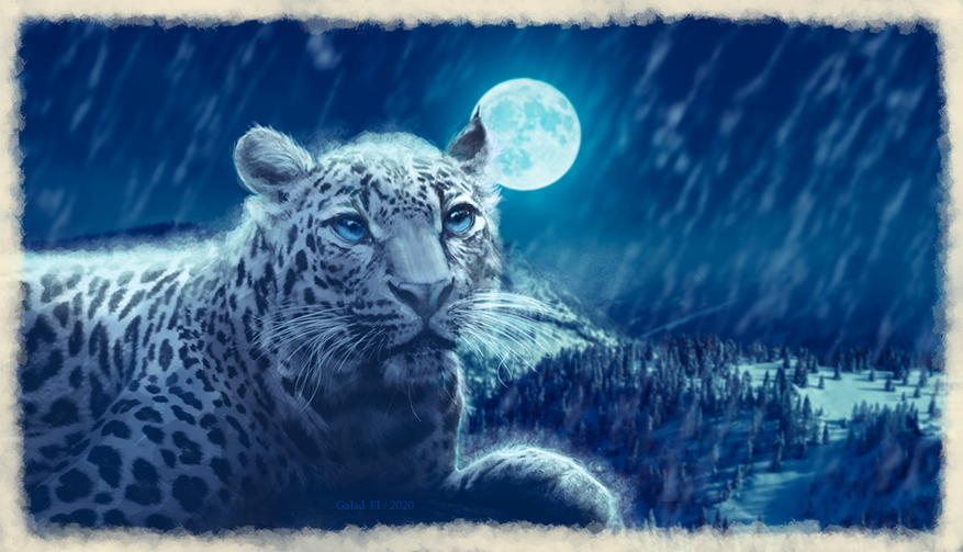 Panthere des neiges, par Galad-El