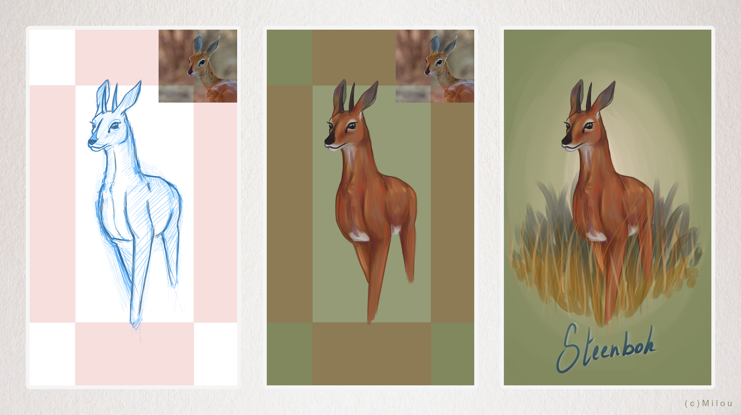 Steenbok [wallpaper], par Milou