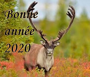 bonne année, par Mistraljason