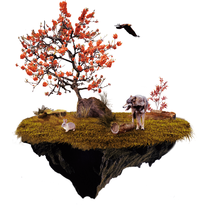 Île flottante, par Milou