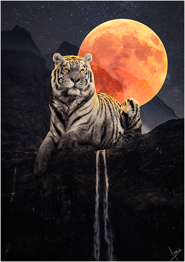 Tigre !, par Galad-El