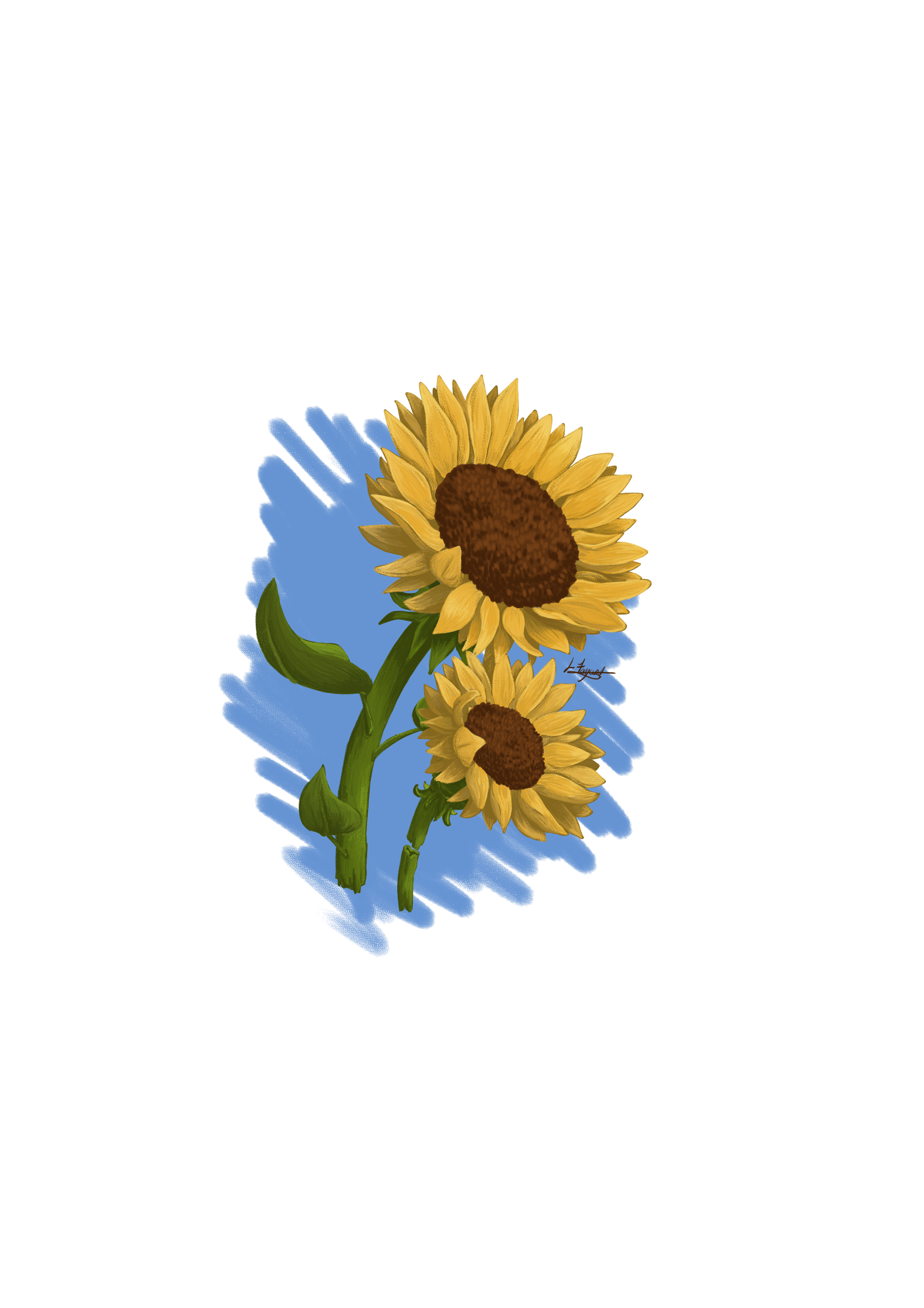 Tournesol, par Naütilus.