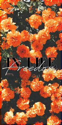 Participations, par emily1303