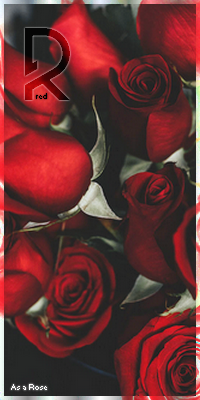 Participations, par emily1303