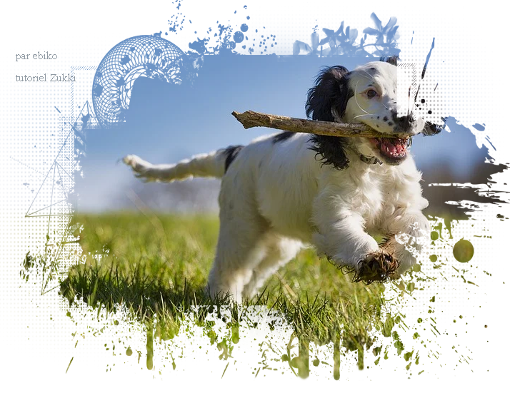 Tutoriel rendu, par ebiko