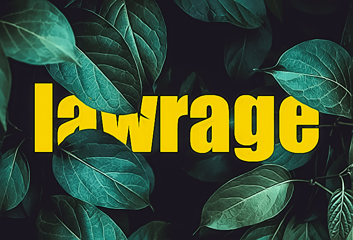 Typographie timide, par Lawrage