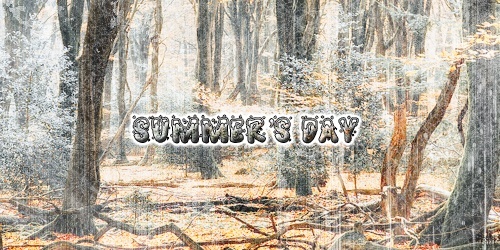 Summer day, par Pizi