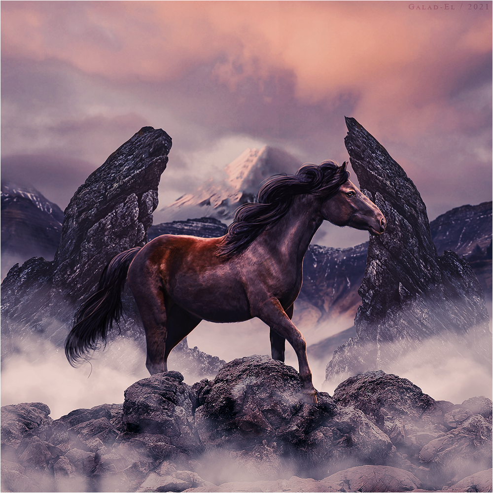 Mer de nuages, par Galad-El