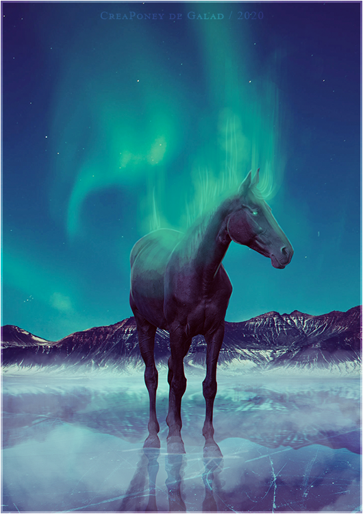 CréaPoney, par Galad-El