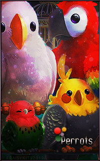 Vava Perrots, par Fraisy Sarcasm