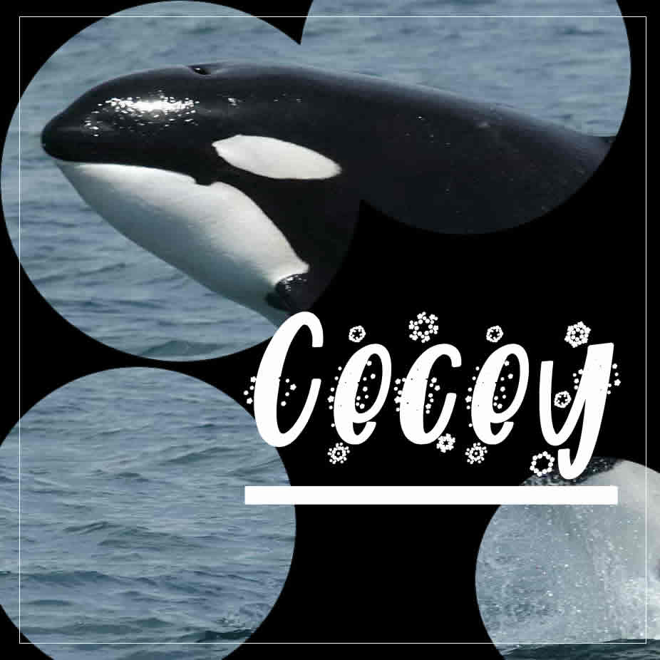 Moins, par Invoqueuse